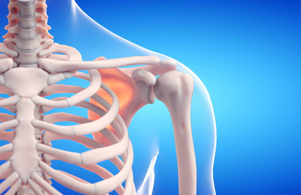 Bone Health: Prevention and Management of Osteoporosis