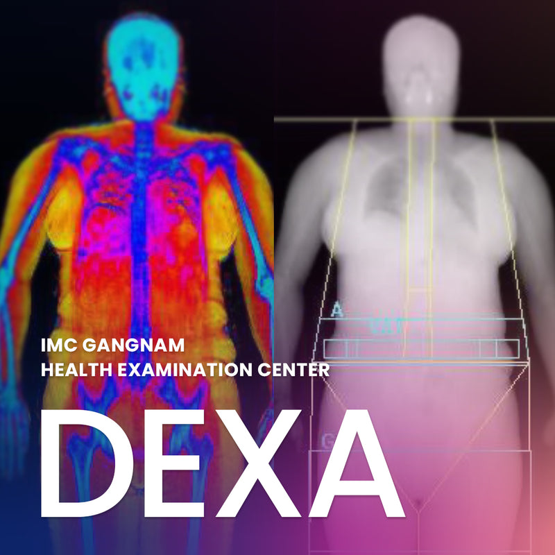 DEXA(Body Composition Analysis) in Seoul, South Korea - Jivaka Beauty